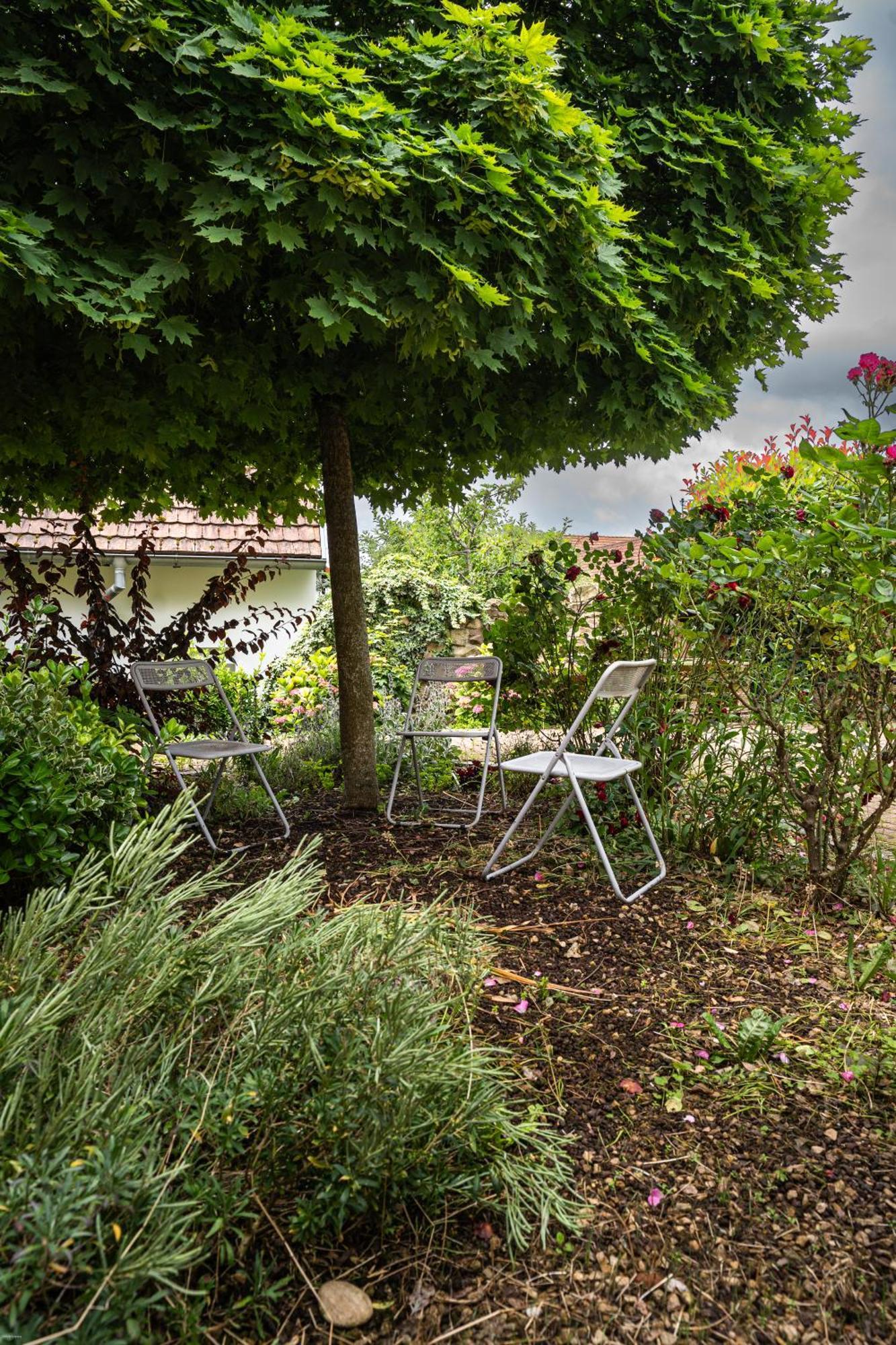 Le Gite 'Humulus' Bilwisheim Exterior foto